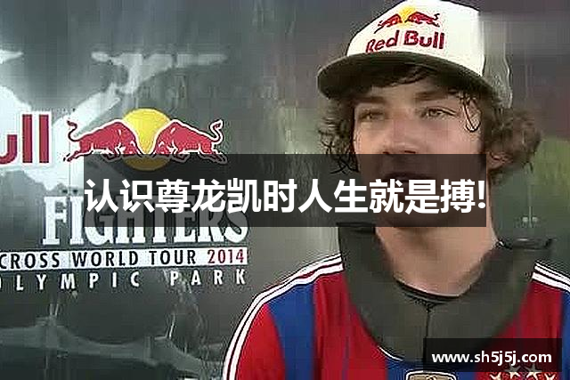认识尊龙凯时人生就是搏!